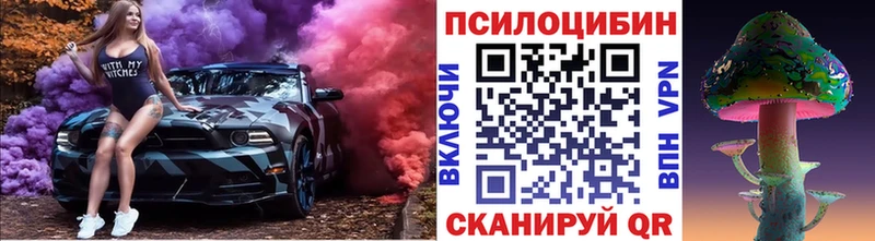 Псилоцибиновые грибы мухоморы  Купить закладки  Нерчинск 
