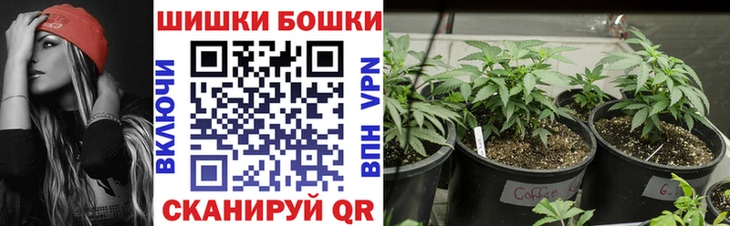Купить где  Нерчинск  Бошки Шишки Bruce Banner 